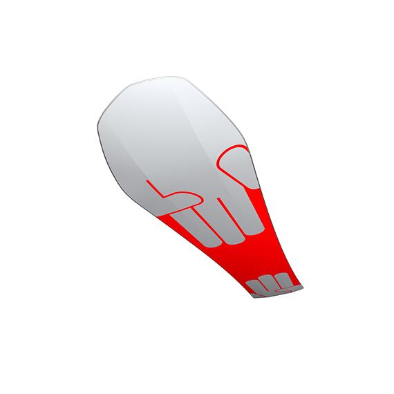 Bataleon snowboard Evil Twin