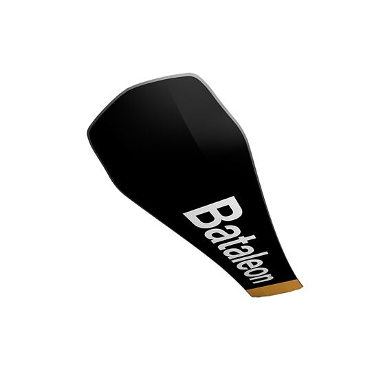Bataleon snowboard Whatever